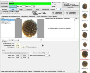 Ein Screenshot aus unserer Software. Auf der linken Seite sieht man eine große Klette, die über Millimeter-Angaben vermessen wird. Viele Parameter. Auf der rechten Seite eine Liste mit weiteren Beispiel-Bilder, alles Kletten.